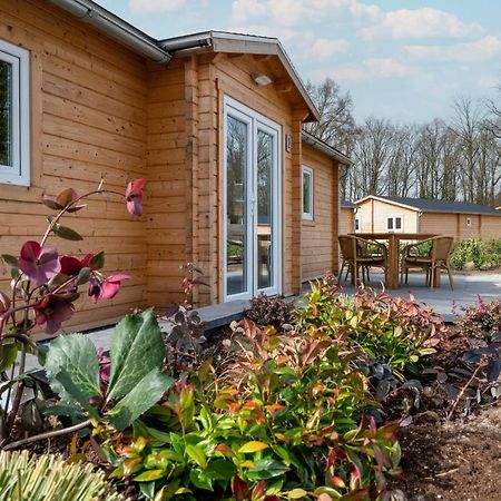 Recreatiepark Maas En Bos Hotell Wellerlooi Exteriör bild